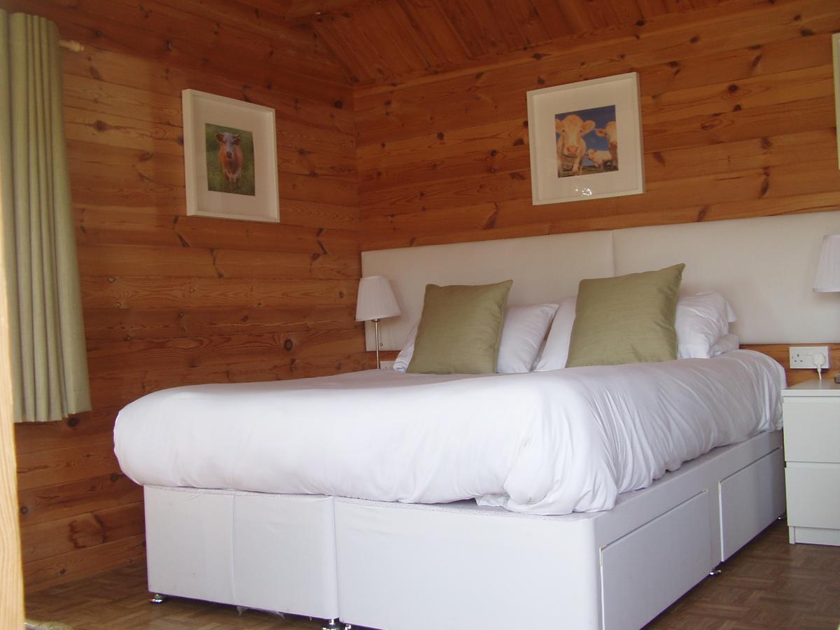 Chestfield Hillview Bed And Breakfast المظهر الخارجي الصورة